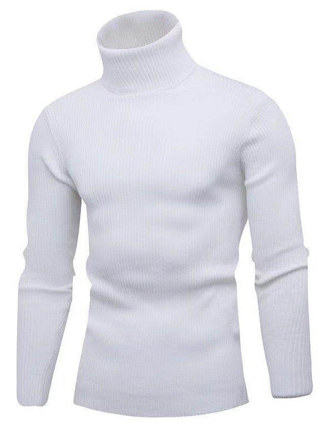 Lorenz - Stylish Sweater with Turtle Neck - Sweater - Jones & Smith