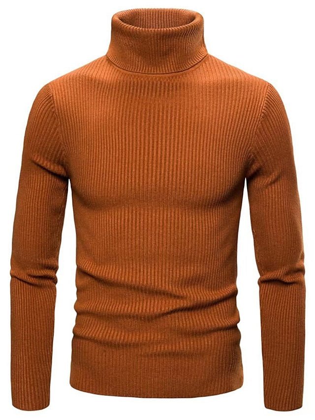 Lorenz - Stylish Sweater with Turtle Neck - Sweater - Jones & Smith