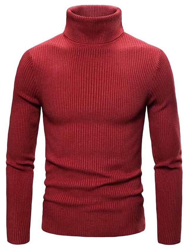 Lorenz - Stylish Sweater with Turtle Neck - Sweater - Jones & Smith
