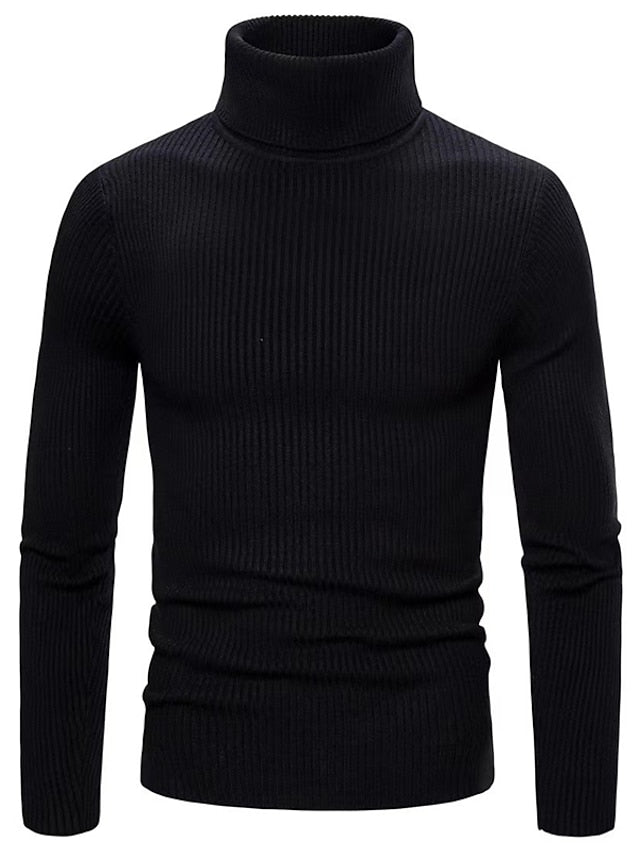 Lorenz - Stylish Sweater with Turtle Neck - Sweater - Jones & Smith